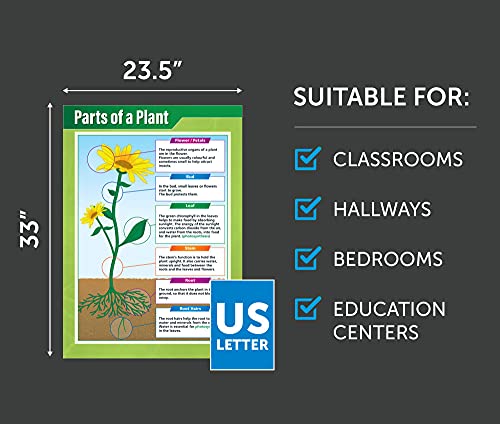 Parts Of A Plant | Science Posters | Laminated Gloss Paper Measuring 33” X 23.5” | Stem Charts For The Classroom | Education Charts By Daydream Education #TOP2