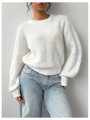 WDIRARA Women's Ribbed Knit Pullover Sweater Long Lantern Sleeve Crew Neck Knitwear Tops3