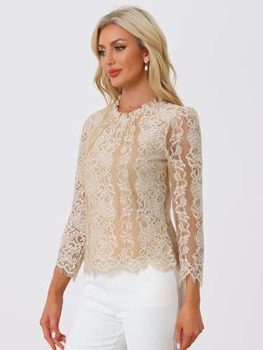 Allegra K Women Lace Long Sleeve Top Ruffle Neck Floral Elegant Blouse Dressy Casual Lace Shirt Medium Apricot White