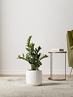 LE TAUCI Blumentopf Keramik, 21+17+14 cm, 3er Set, Mattweiß – Ansicht 3