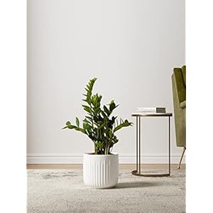 LE TAUCI Ceramic Planters Set of 3 Plant Pots for Indoor Plants 836957 inch Flower Pots with Drainage Holes Medium Cylinder Planters Pot for Indoor House Plants White