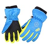 Azarxis Kinder Handschuhe Winter Ski Handschuhe für Kinder Mädchen Jungen Radfahren Skifahren Snowboarden (Blau, XS (3-5 Jahre))