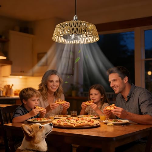 Ventilateur de plafond télécommande et lampe gradable en fer de 28 cm - 3