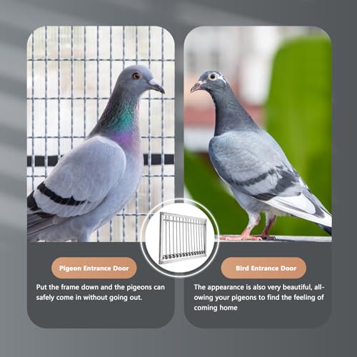 Puerta de acero inoxidable Operitacx plata para complementar jaulas de pájaros 6