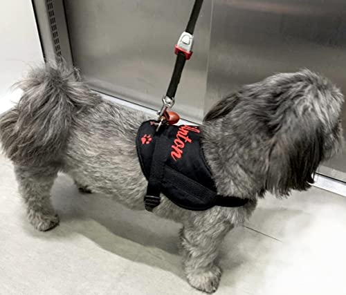Hundegeschirr S M L XL XXL Brustgeschirr mit Wunsch Namen bestickt Schwarz