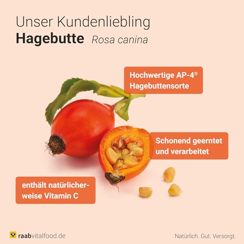 Hagebuttenextrakt Raab Vitalfood Bio Kapseln 150 Stück