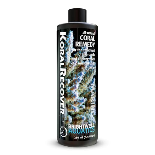 Image of Brightwell Aquatics Koral Recover - Botanical Coral Remedy for SPS, LPS & Soft Corals - Supports Tissue Healing, Disease Recovery & Immune Health - Safe for Reef Aquariums, 250 ml