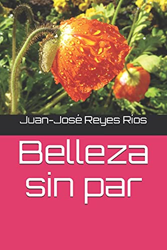 Belleza sin par (Spanish Edition)