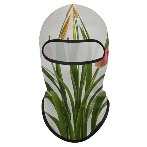 Balaclava para hombre y mujer, máscara para esquí, cubreboca completo para ciclismo miniatura 7
