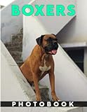 Photo Gallery boxers photography book: collection photos of boxer furry friends with 40+ pages inside | pefect gifts for all ages on any occasion Photo Gallery boxers photography book: collection photos of boxer furry friends with 40+ pages inside | pefect gifts for all ages on any occasion
