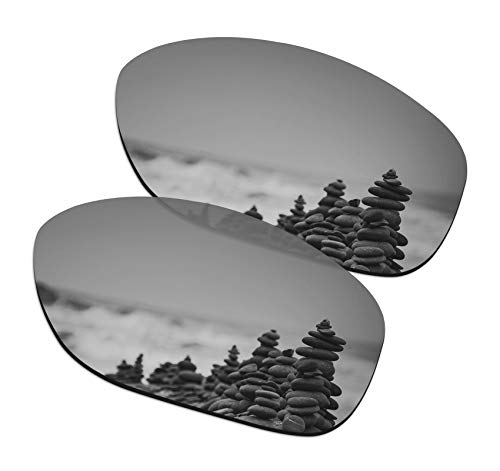 Verres Oakley Pit Bull polarisés Silver Titanium anti-reflet