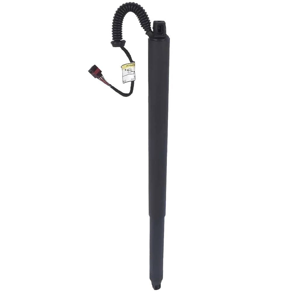 Miseyaさん専用　EL GATO FIN Miseyaさん専用 EL GATO FIN