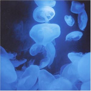 Amazon 千年回廊 姫神 イージーリスニング ミュージック