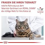 Royal Canin Mobility Feline Trockenfutter für Katzen 400 g