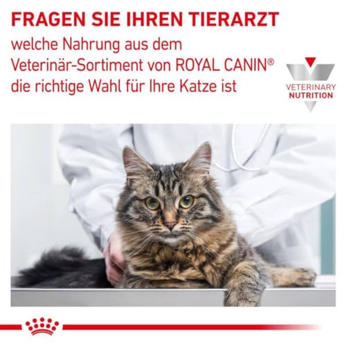 Royal Canin Diät Katze Mobility 400 g | Trockennahrung für Katzen | Alleinfuttermittel für ausgewachsene Katzen