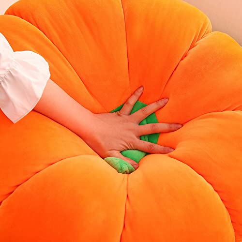 Reviews y listado de Calabaza gigante tabla con los diez mejores. 23 Imagen adicional