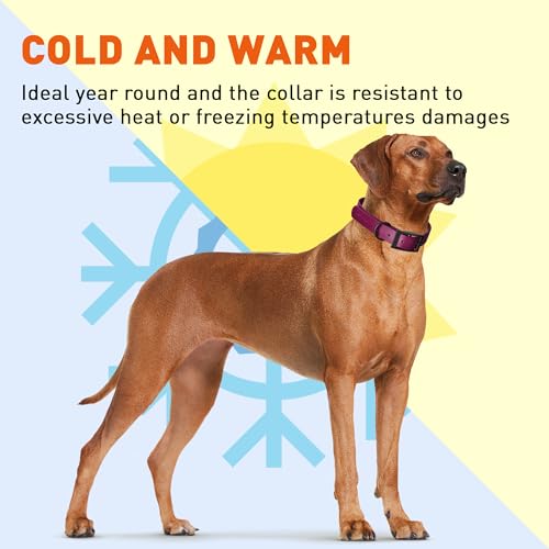 Image of Dogline Biothane Waterproof Dog Collar Strong Coated Nylon Webbing with Black Hardware Odor- Proof for Easy Care Easy to Clean High Performance Fits Small Medium or Large Dogs, Magenta Pink