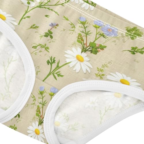 Vintage White Daisies Wildflowers Cute Panties Girl Girls Underwear Toddler Cotton Durable Kids Briefs Undies 2t4