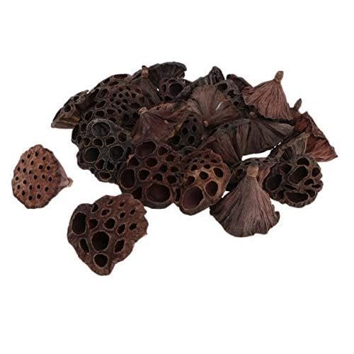 4X 30x Pod de Flor de Loto, Adorno Coffee Bar miniatura 1