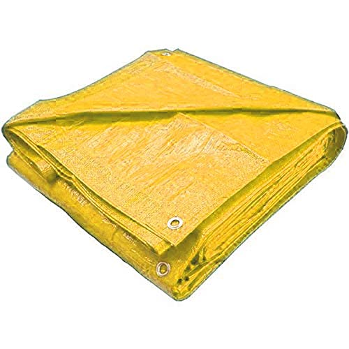 PlantaZee Pure Virgin HDPE 190GSM (10ft x 8ft, White) UV Treated Heavy Duty Waterproof Tarpaulin (B0992BXV86) Amazon Price History, Amazon Price Tracker