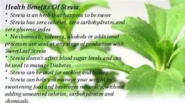 Image of Stevia Plant Live, sweet tulshi plant live, Natural Sweetener Herb, Potted Plant, Pack of 1