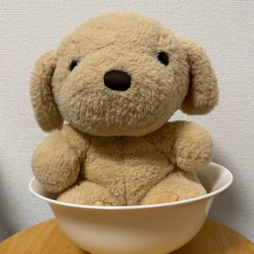 #24.5 これからの話。これまでの話（アトリエ案内所）