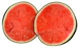 Wassermelone Crimson Sweet - 10 Samen -Zucker- Süss-