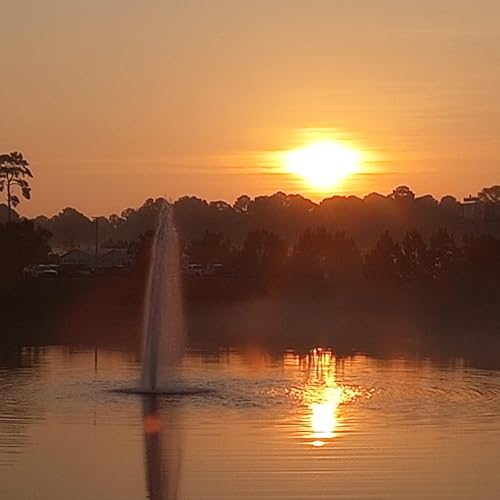 God Blessed His People