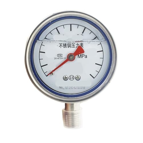 Manomètre Y-60BFZ anti-vibrations en inox résistant à la corrosion thermique pour tuyau 6 MPA