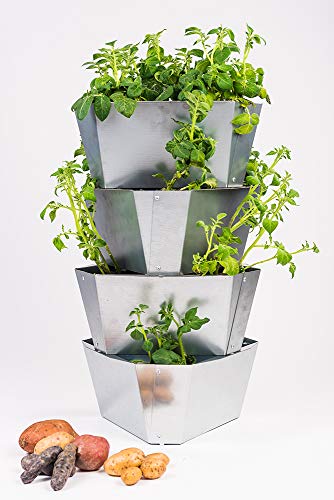 Paul Potato Starter Stahl Kartoffelturm - stapelbar - Hochbeet/Pflanzgefäß/Blumentopf für Balkon, Garten und Terrasse (4 Etagen, Stahl/Grau) Cover