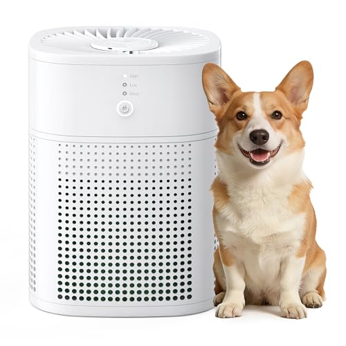 Air Purifiers for Home, Covers Up to 300 ft², High Torque Motor, 4 Mode, Remove Dust Smoke Odor, Essential Oil Diffuser, Air Purifiers for Bedroom, Office, Sleep Mode, Whisper Quiet, White
