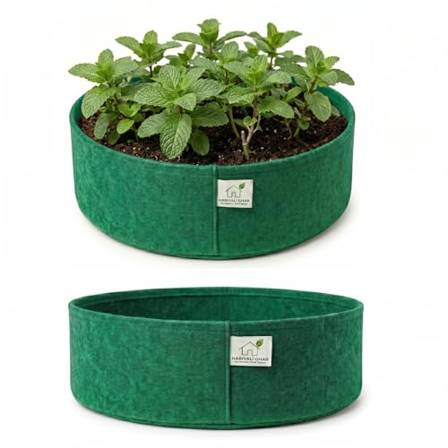 Image of 400 GSM Geo Fabric Round Grow Bags 12x6 Inch, Green Planting Bags for Terrace and Kitchen Gardening Pack of 2