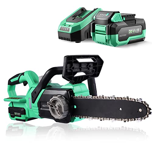 DREAMVAN Cordless Chainsaw, 10'' 20V Battery Powered Chainsaw with 4.0Ah Lithium Battery & Fast Charger, Electric Chainsaw for Trees Pruning, Wood Cutting, Farm/Garden