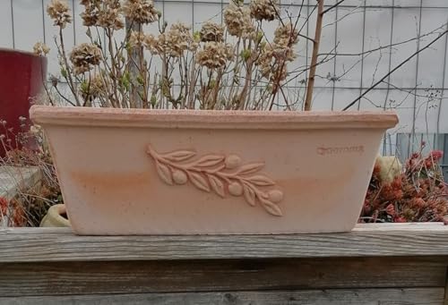 Original Italienischer winterfester Blumenkasten 40 cm mit Olivendekor echt Terracotta Terrakotta Garten Deko Pflanztopf Balkonkasten Mediterran Oliven