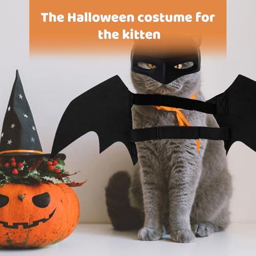 Fledermaus Kostüm für Katzen & Hunde mit Maske – Halloween Haustier Kostüm Set, Fledermausflügel & 3D Katzenmaske, Schwarz, Verkleidung für Cosplay & Party