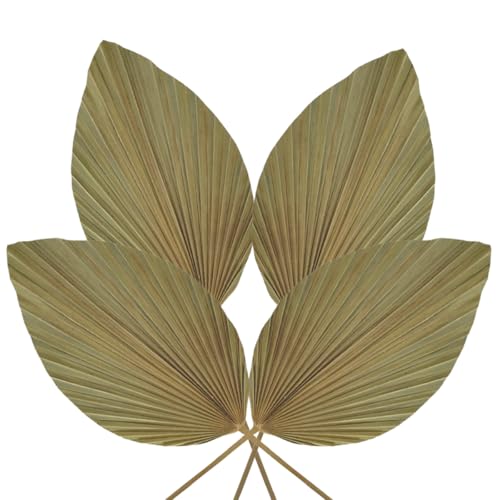 Hojas secas marca Genérico