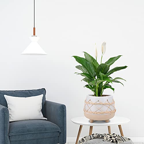 Chonsun Ceramic Planter 8 Inch Plant Pots Indoor Oudoor Planter With Drainage Hole Flower Pots Plant Pots Ceramic Mid-Century Planter #TOP2