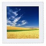 Square dimensions (in inches): 25 L x 25 W, image dimensions (in inches): 23 L x 23 W 100% poloyester; image is soft to touch. Made in USA Edges have pinking shear cut Image will not fade with washing. Image not a transfer, part of material