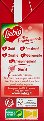 Soupe Velouté Légumes Vermicelles Champignons Noirs 100% Ingrédients Naturels Liebig La Brique De 1 - vue 4