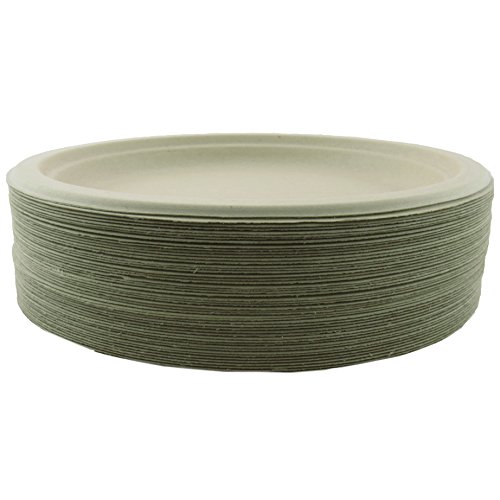 World Centrics 100 Biodegradable 100 Compostable Wheat Straw 9 Plates Package of 50