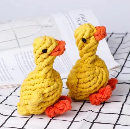 CG[Aq̌̂ &q[v ܂AXNC[YȂ̌̂ ޏ؋ ̂ UIȊސl̂߂̔js\Ȍ̊ނ AĩAq̎邨(_bN)