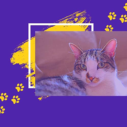 Calm Jazz Trombone - Vibe for Cutest Cats