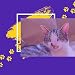 Calm Jazz Trombone - Vibe for Cutest Cats