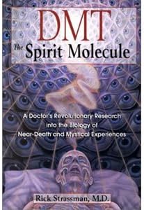 DMT: The Spirit Molecule: A Doctor's Revolutionary Research Into the Biology of Near-Death & Mystical Experiences