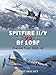 Spitfire II/V vs Bf 109F: Channel Front 194042 (Duel, 67)