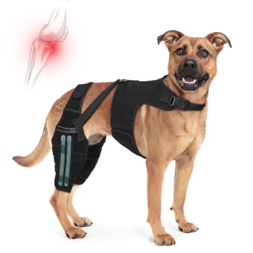 Image of Dog Knee Braces for Torn ACL Hind Leg, Adjustable Joint Brace Non-Slip | Double Leg Support with Vest,CCL Tear, Arthritis, Patella Luxating Recovery Cruciate Care for Small Medium Large Dog, XXL