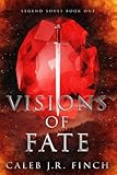 legend & soul  Legend Souls Book One: Visions of Fate