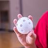 Product Photo 6