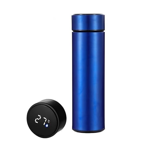 水筒 温度表示 保温 保冷 スマートボトル 茶漉し付き ステンレス鋼 500ml ひと目で温度がわかる タンブラー 魔法瓶 水洗い マイボトル 軽量 ブラック (B)