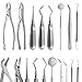 AAProTools 8 Pcs Basic Dental Extracting Extraction Forceps Elevators Set Dental Instruments